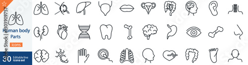 Human Body Parts Line Icons Set. Collection of 30 outline icons representing anatomy, organs, skeletal structure, muscles, and medical science. Editable stroke . vector illustration.