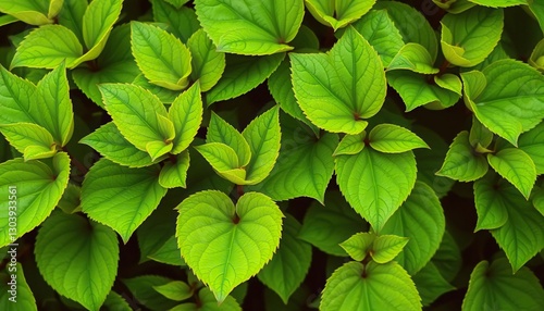 Vibrant green leaves, isolated, high-resolution,  illustration,  environment