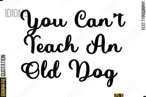 Text Lettering Inscription Idiom Slogan-  You Can’t Teach An Old Dog