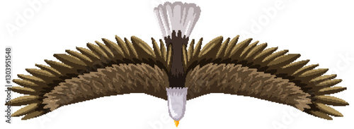 Foto Eagle Soaring Overhead in Flight