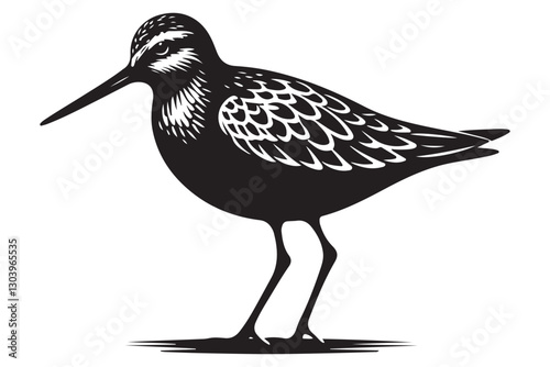 Shorebird illustration standing on the coast for wildlife designs