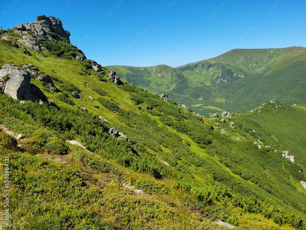 Naklejka premium View from Vukhatiy Kamin mountain to Chornohirsky ridge