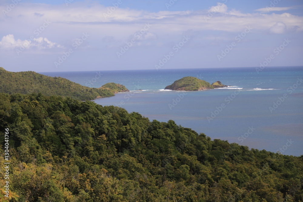 presqu'ile caravelle, martinique, antilles presqu'ile caravelle, martinique, antilles