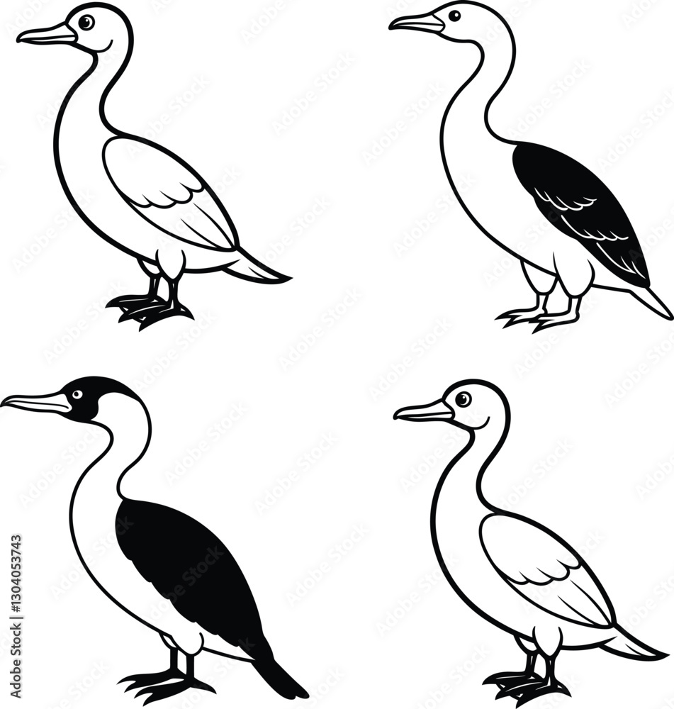 Fototapeta premium Bird Outline Illustration Set Line Art Collection of Various Birds