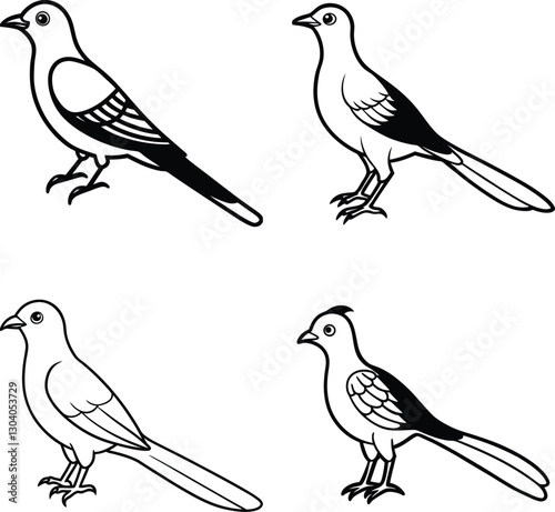 Wallpaper Mural Bird Outline Illustration Set Line Art Collection of Various Birds Torontodigital.ca