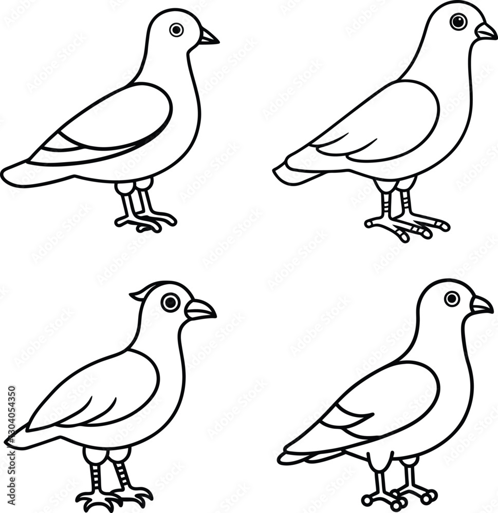 Fototapeta premium Bird Outline Illustration Set Line Art Collection of Various Birds