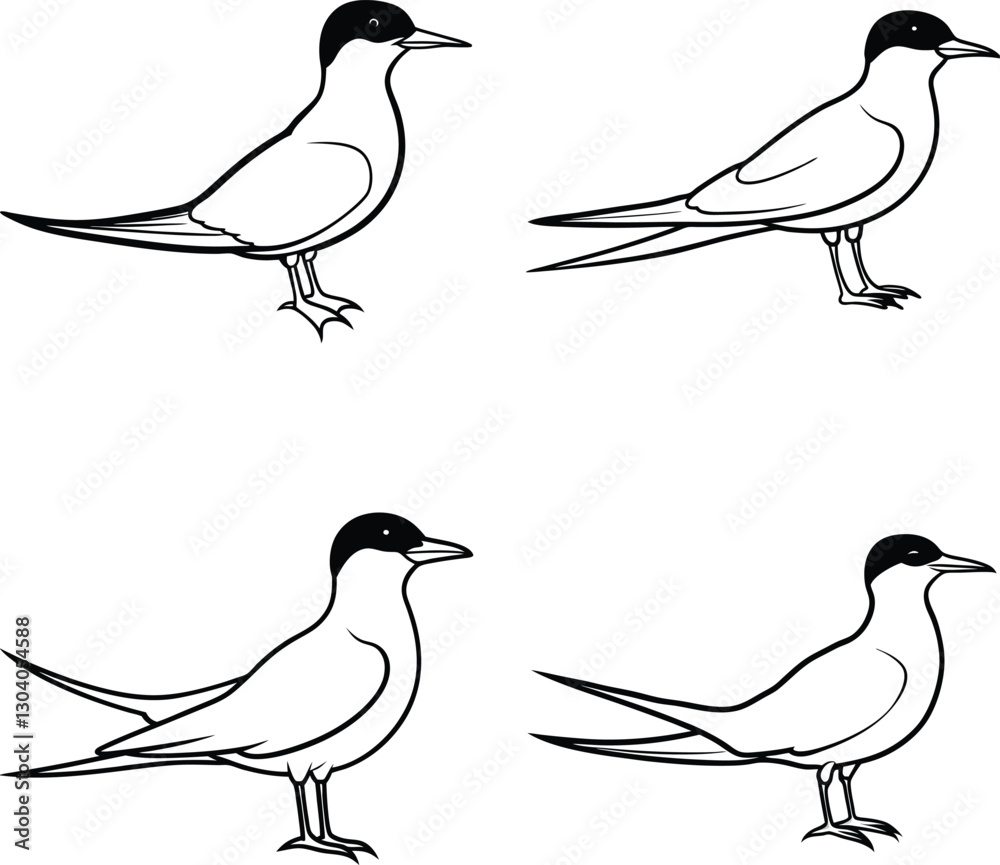 Fototapeta premium Bird Outline Illustration Set Line Art Collection of Various Birds