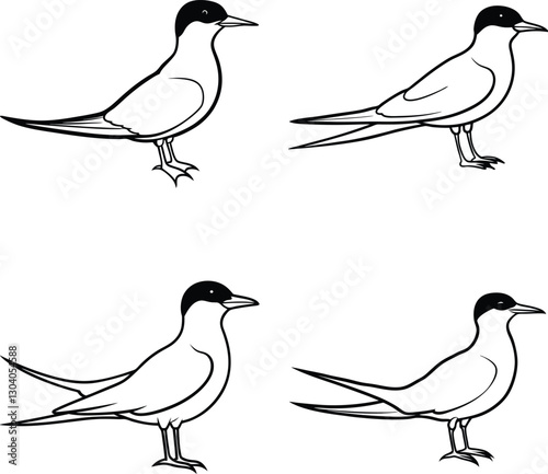 Wallpaper Mural Bird Outline Illustration Set Line Art Collection of Various Birds Torontodigital.ca