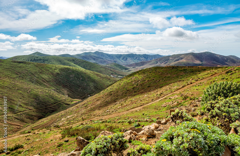 Obraz premium Hilly landscape, Island Fuerteventura, Canary Islands, Spain, Europe.