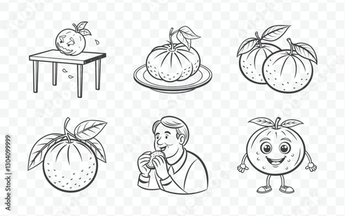 Exquisite Tangerine Line Art Collection