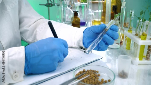 A researcher analyzes agricultural grains in a laboratory. Research into GMO cereals and beans. Testing genetically modified seeds.