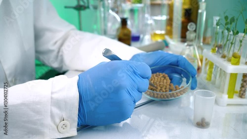 A researcher analyzes agricultural grains in a laboratory. Research into GMO cereals and beans. Testing genetically modified seeds.