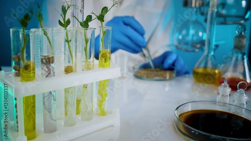 A researcher analyzes agricultural grains in a laboratory. Research into GMO cereals and beans. Testing genetically modified seeds.