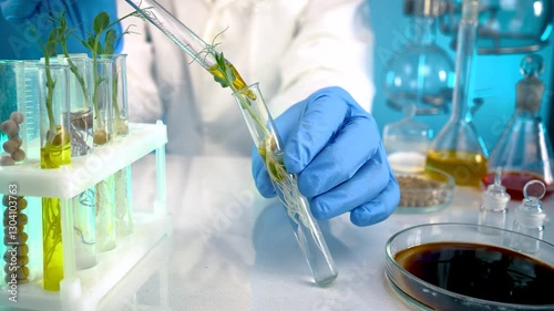 A researcher analyzes agricultural grains in a laboratory. Research into GMO cereals and beans. Testing genetically modified seeds.