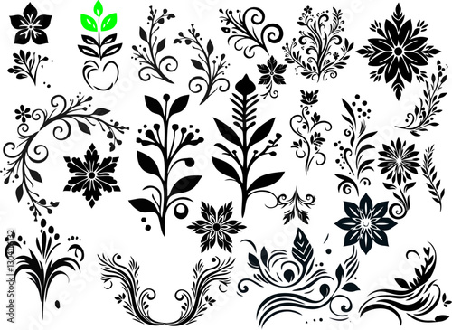 elegant tribal floral ornament set- decorative vector