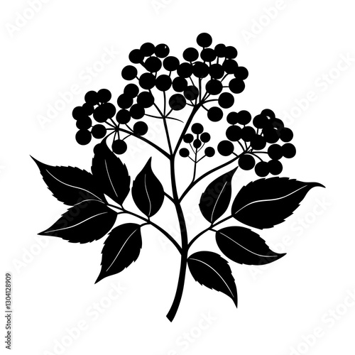 Elderberry silhouette vector