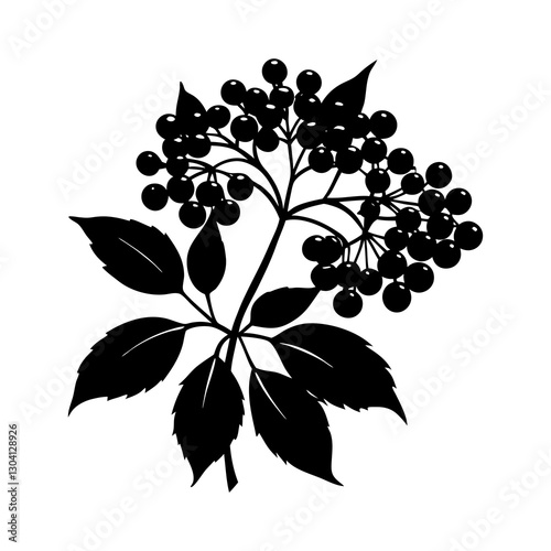 Elderberry silhouette vector