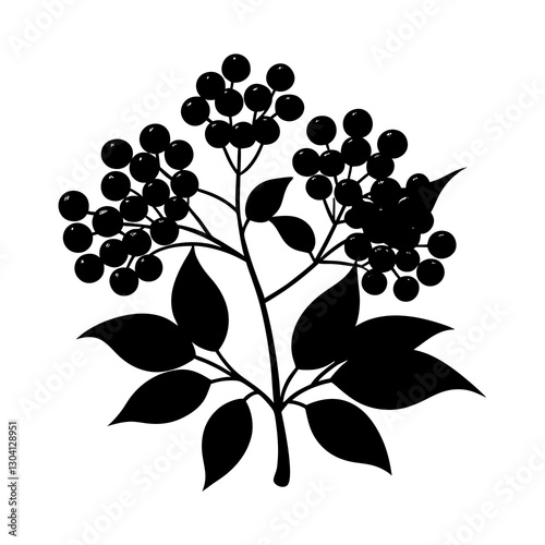 Elderberry silhouette vector
