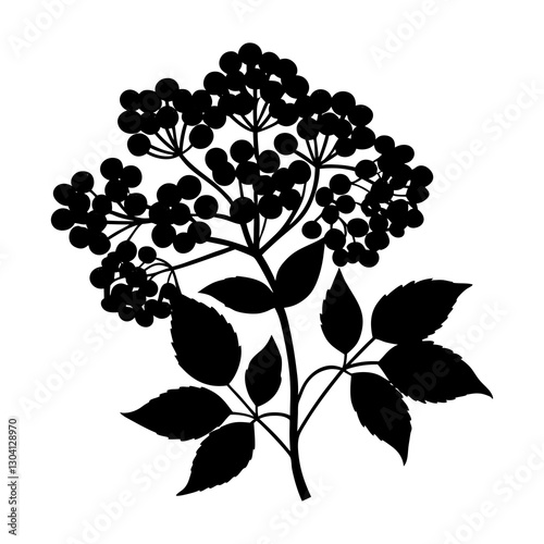 Elderberry silhouette vector