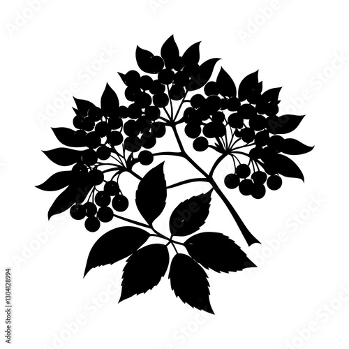 Elderberry silhouette vector
