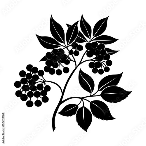 Elderberry silhouette vector