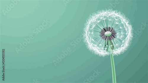 Close-up image of a dandelion seed head against a solid teal background. The seed head is predominantly white and fluffy, with visible individual seeds attached to a central, dark-colored