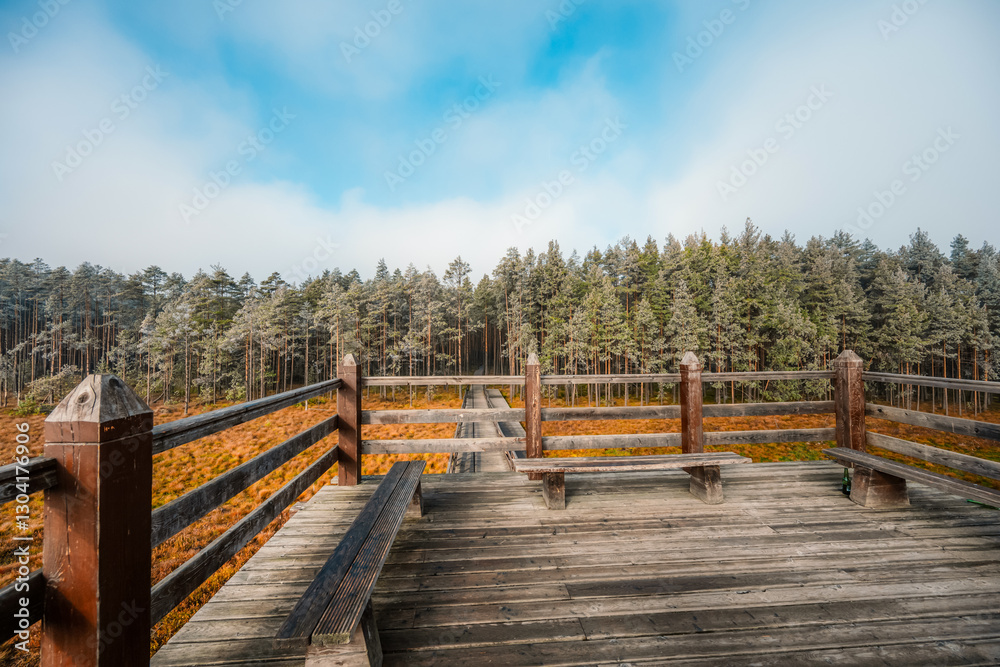 Obraz premium A wooden walking misty path in Bor na Czerwonem nature reserve in Nowy Targ in Poland