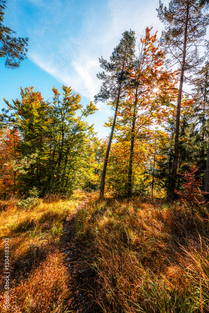 Fototapeta premium Liptov region Hiking in Tatras mountains to autumn cerenova rock view near Liptovsky Mikulas , slovakia.