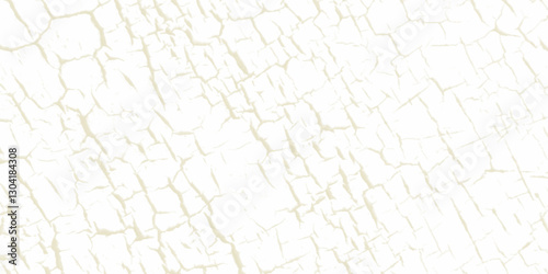 old wall background, a black and white vintage Structure cracked soil ground earth texture on white background, desert cracks, Dry surface Arid in drought land floor has many grooves and scratches. 