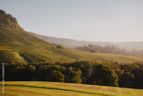 Morgenstimmung in den frostigen Weinbergen von Erlenbach – Herbstlicher Nebel und goldene Sonnenstrahlen über den Reben