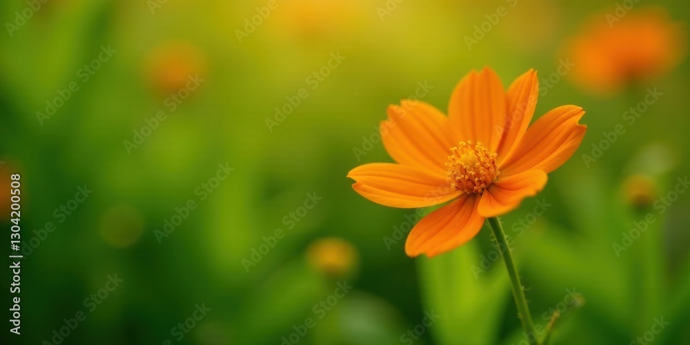 A vibrant orange flower blossoms in a field of green, its petals catching the soft sunlight, a serene moment of natural beauty A vibrant orange flower blossoms in a field of green, its petals catching the soft sunlight, a serene moment of natural beauty