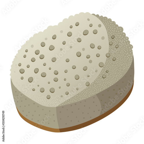pumice stone exfoliator