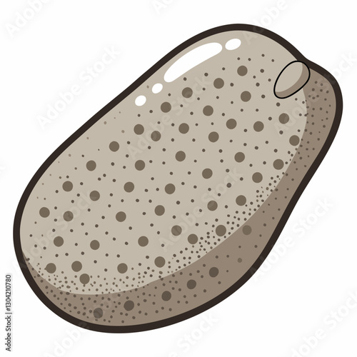 pumice stone exfoliator