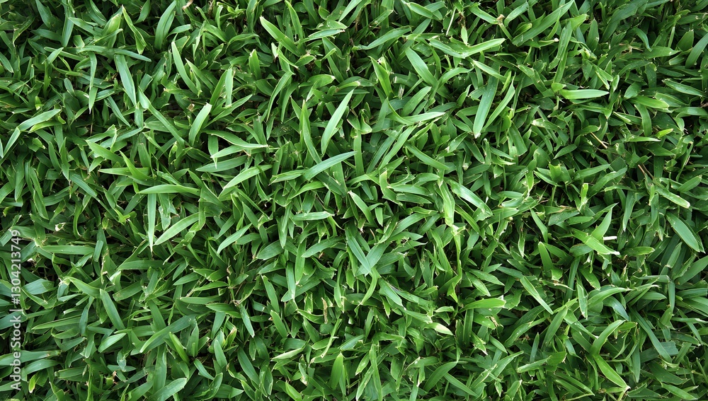 Close-up of vibrant green grass Close-up of vibrant green grass