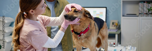 Bild auf Leinwand Website header shot of young female vet specialist examining eyes of large mixed