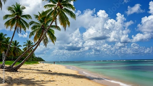 Idyllic Tropical Beach Scenery, Palm Trees, White Sand, and Clear Turquoise Water View