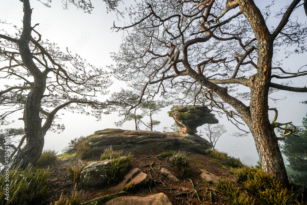 View of the Bänderfels near Erfweiler. Rock formation in the Palatinate with the surrounding landscape. Nature in the hiking area with red sandstone rocks.
