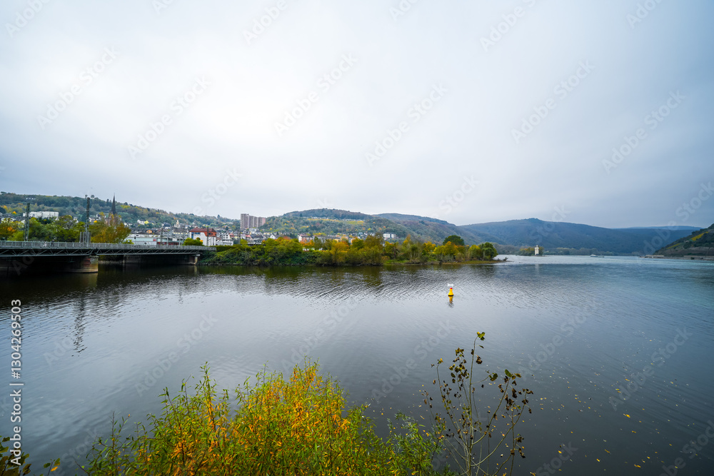 Obraz premium View of the Rhine and the surrounding nature in Bingen am Rhein. 