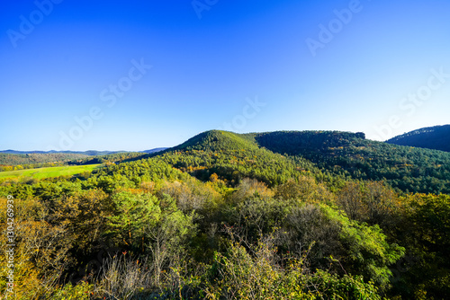 View of the landscape from Drachenfels Castle. Green nature with forests in the Palatinate. Drachenfels Castle ruins near Busenberg.
