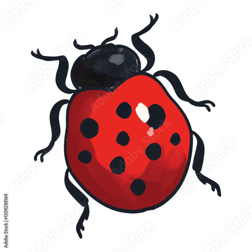 ladybug on white background