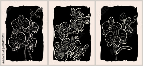 Botanical wall art set. Nordic line art drawing with orchid flowers. Abstract design for print, cover, wallpaper. Scandinavian, Japandi interior painting. Minimal beige and black vector illustration.