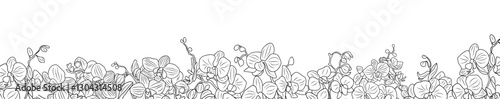 Horizontal banner, floral border, frame, overlay, backdrop decorated with gorgeous orchid blooming flowers. Botanical monochrome ink sketch style illustration isolated 