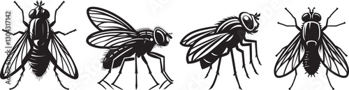 Detailed Black and White Housefly Vector Illustration Set for Insect Biology, Pest Control, and Scientific Designs