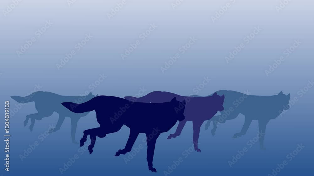 Silhouettes of running wolves animtion in blue background Silhouettes of running wolves animtion in blue background
