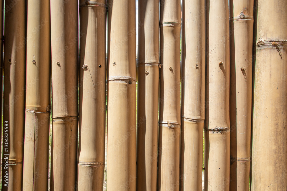 Naklejka premium Bali natural elements experience