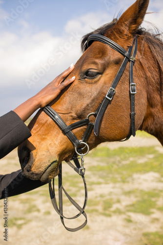 Close-up of a woman's hand stroking a horse's face.
