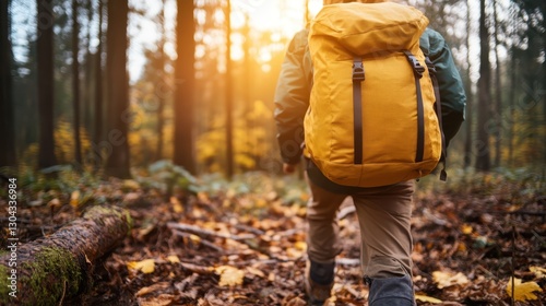 An adventurous person navigates a sunlit forest path with autumn leaves, echoing the spirit of discovery and the beauty of nature in golden hour lighting. photo