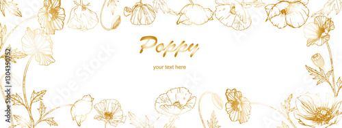 golden poppy frame with outlines on a transparent background.Close-up, isolated, long