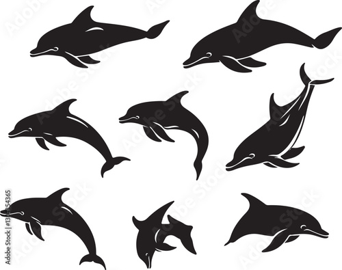 Graceful Aquatics: The Elegant Dance of Dolphins
