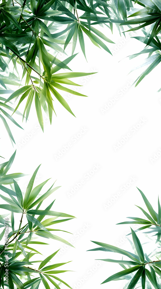 Fototapeta premium Lush green leaves frame, nature background, design